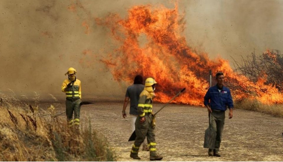 Europe burns as heatwave breaks temperature records