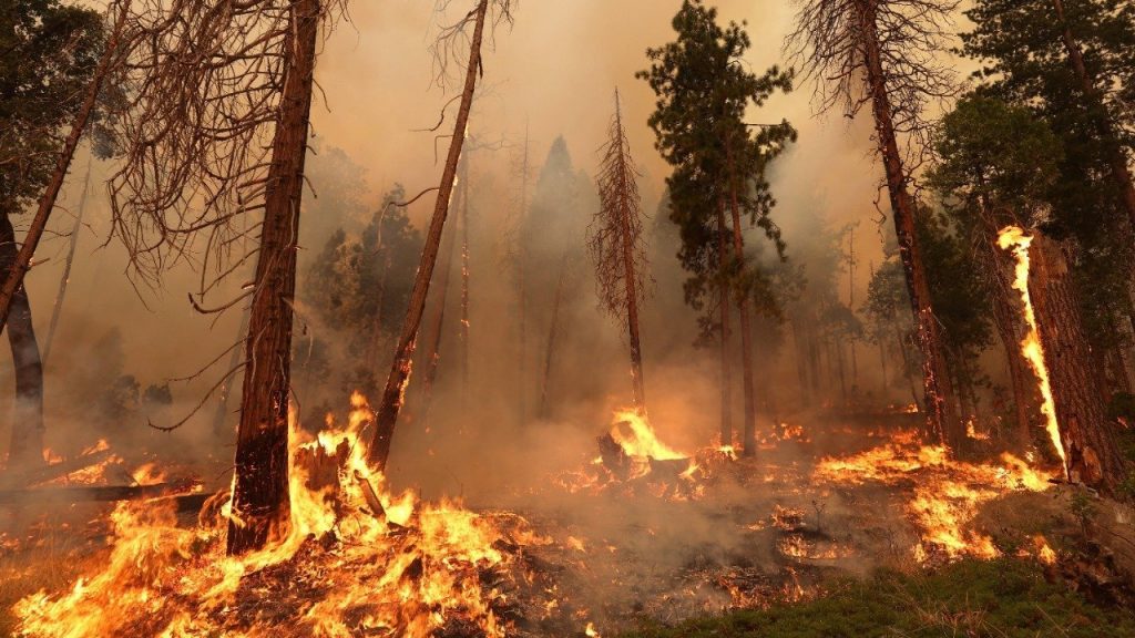 Thousands evacuated as California wildfire grows