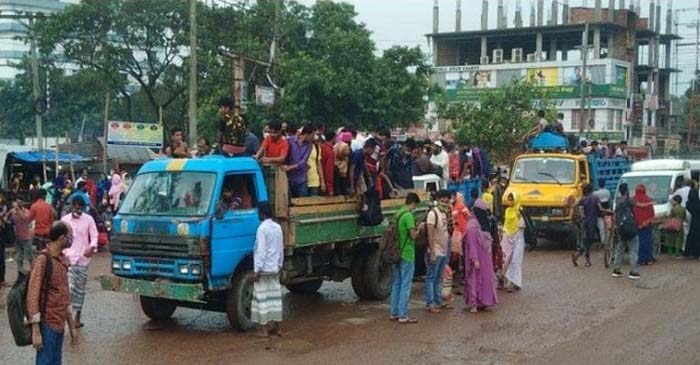 গরুর ট্রাকে ঈদযাত্রা