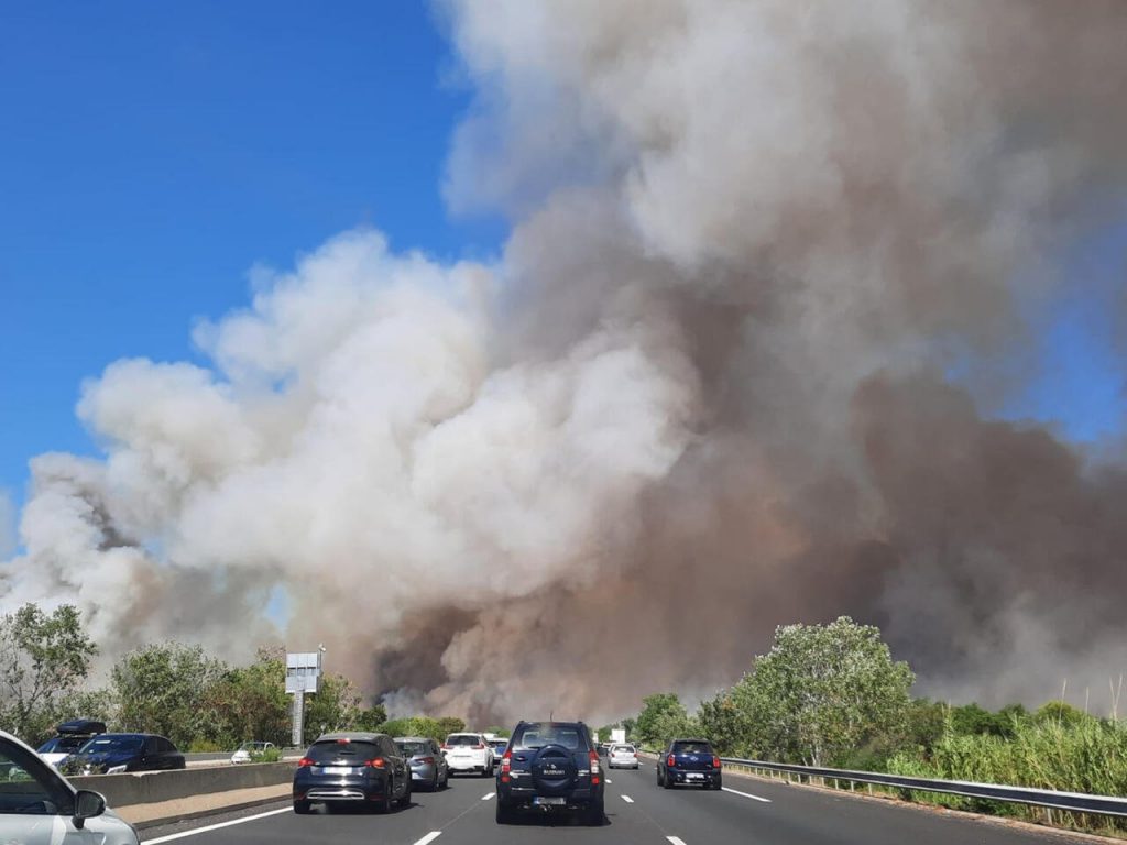 Portugal, France battle big forest fires as mercury soars