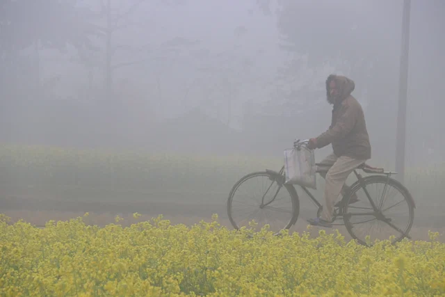 আবার কমতে পারে তাপমাত্রা, হতে পারে মৃদু শৈত্যপ্রবাহ