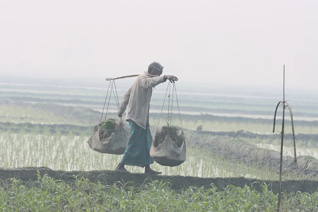 শীত বিদায়, হালকা বৃষ্টি আসছে