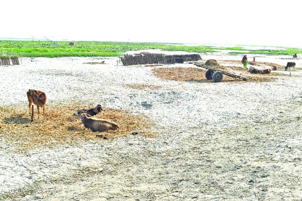 হারিয়ে গেছে ৩ শতাধিক নদ-নদী উত্তরের দেড় হাজার কিলোমিটার জলপথ আর ফিরে পাওয়া যাবে না