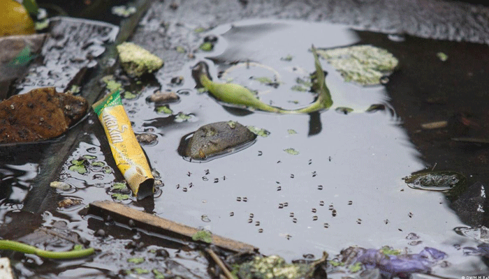 মশা নিয়ন্ত্রণে পদক্ষেপ নিতে হাইকোর্টের নির্দেশ