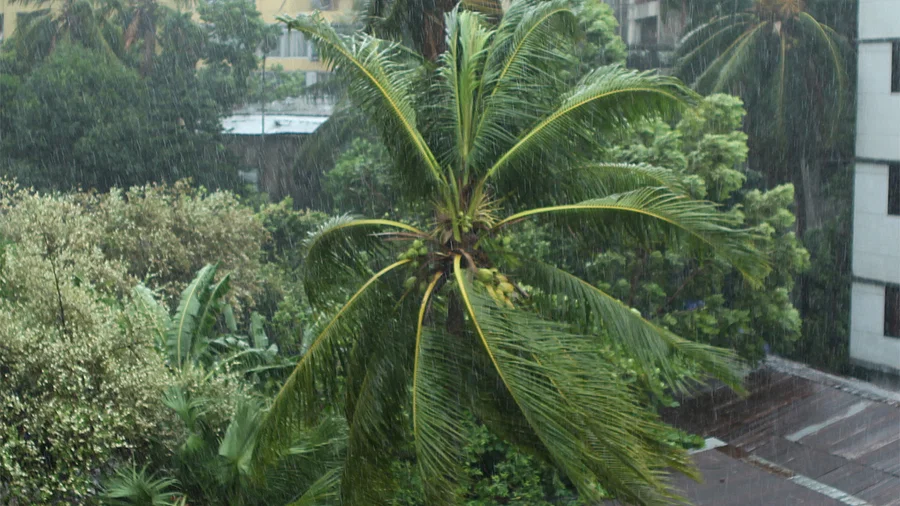 কক্সবাজারের আরও কাছে মোখা, বাতাসের গতিবেগ ১৯০ কিমি