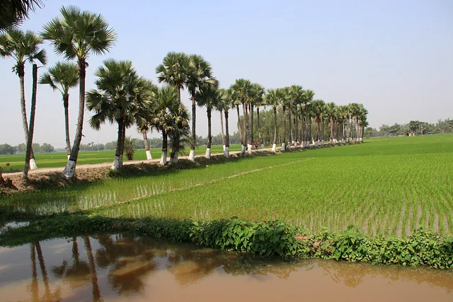 শতকোটি টাকার তালগাছ কৌশল ব্যর্থ, আসছে হাজার কোটির বজ্রনিরোধক দণ্ড আবহাওয়া অধিদপ্তরের ৬২ কোটি টাকার ‘সেন্সর’ কাজ করে না।  এলজিইডির প্রকল্পে বসানো হচ্ছে বজ্রনিরোধক দণ্ড।  একই প্রকল্প নিচ্ছে কৃষি মন্ত্রণালয়ও।