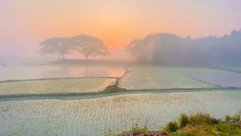 আজ থেকে কমবে শীতের তীব্রতা