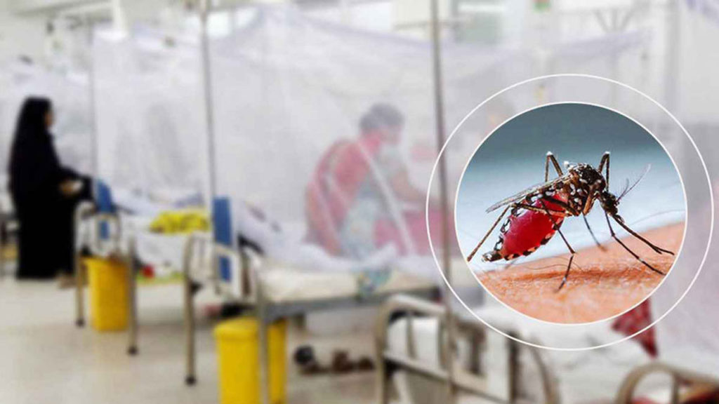 ডেঙ্গুতে একদিনে ৯৮৩ জন হাসপাতালে ভর্তি, ৬ জনের মৃত্যু