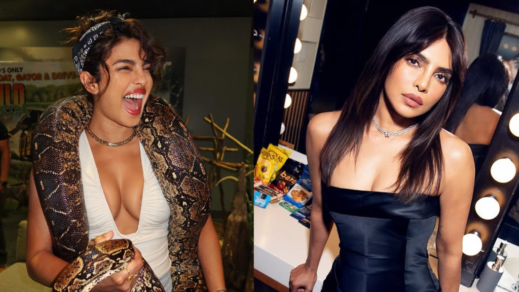 প্রিয়াঙ্কা চোপড়ার সাহসিকতায় অবাক নেটিজেনরা, গলায় সাপ জড়িয়ে ভাইরাল তার ছবি ও ভিডিও