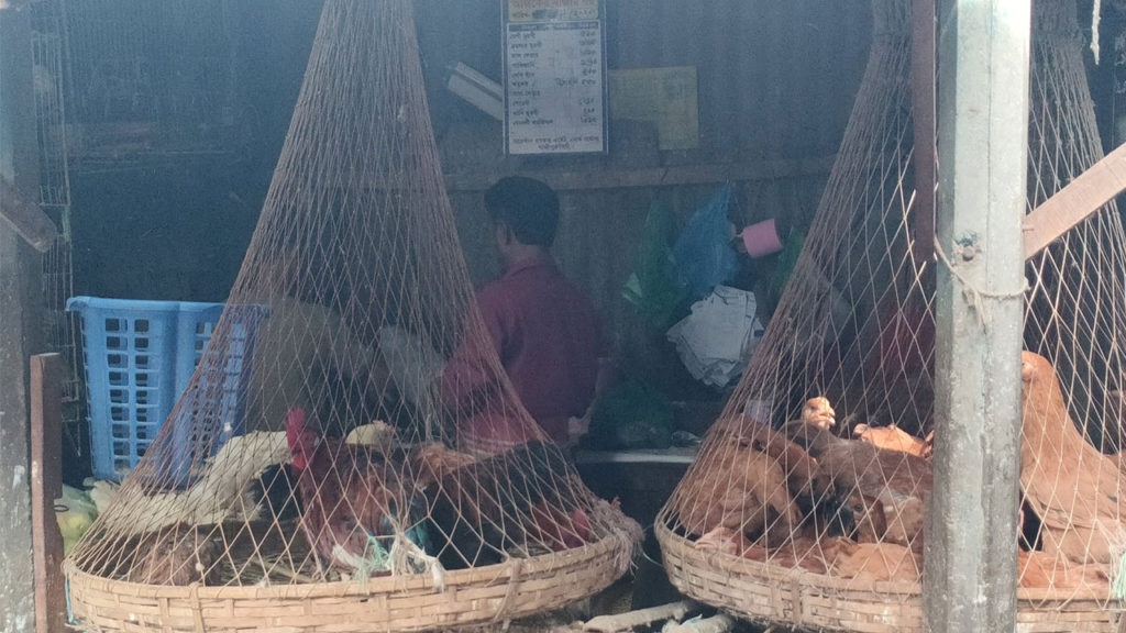 মুরগির দাম কিছুটা কমলেও গরু-খাসির মাংসের দাম অপরিবর্তিত