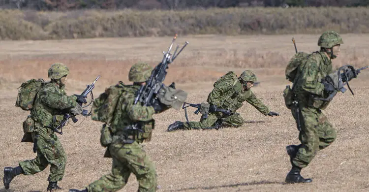 জাপানে ভাল্লুকের আক্রমণ বেড়ে উদ্বেগ, আকিতায় সেনা মোতায়েন