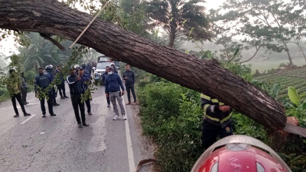 ঢাকা-বরিশাল মহাসড়কে মাদারীপুর অংশে গাছ ফেলে চলাচল বন্ধ