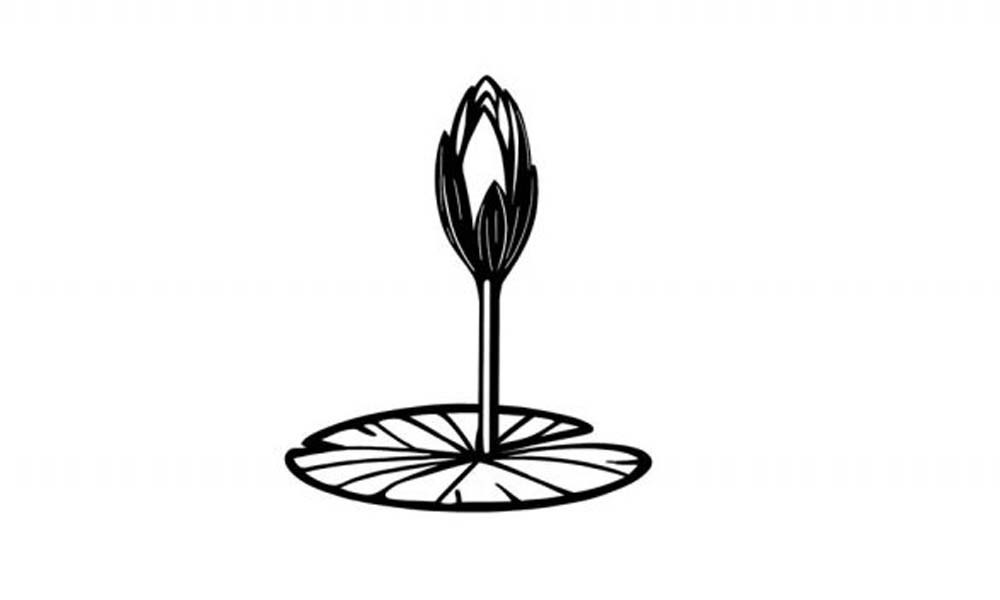 শাপলা কলি প্রতীকের স্কেচ চূড়ান্ত করল নির্বাচন কমিশন