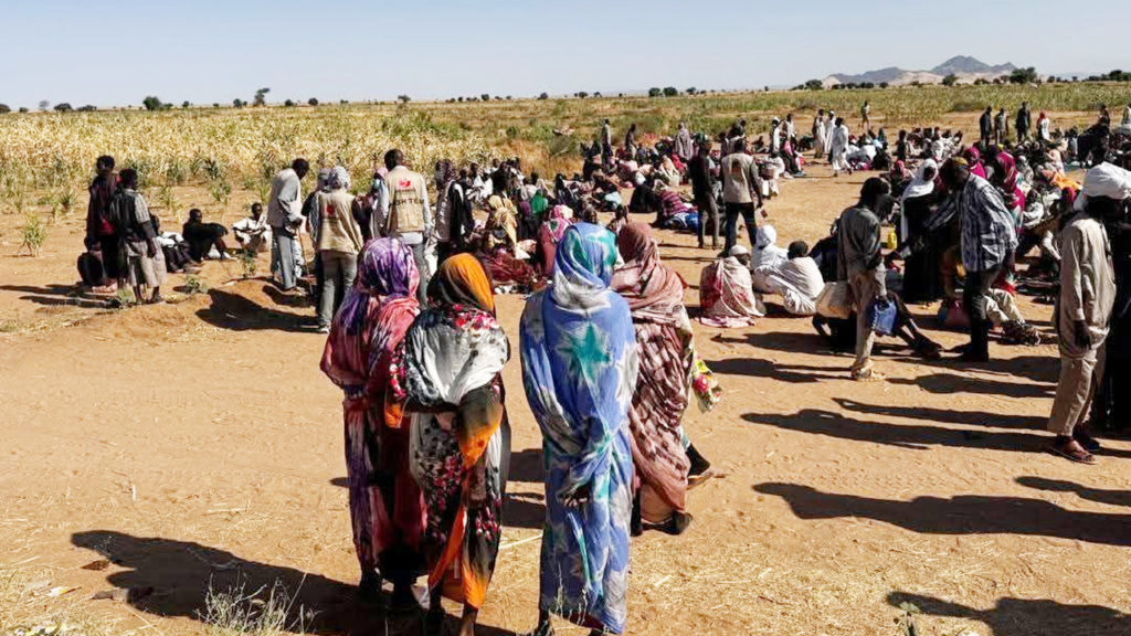 দারফুরের আল-ফাশারে আরএসএফের দখলে নৃশংসতার অভিযোগ
