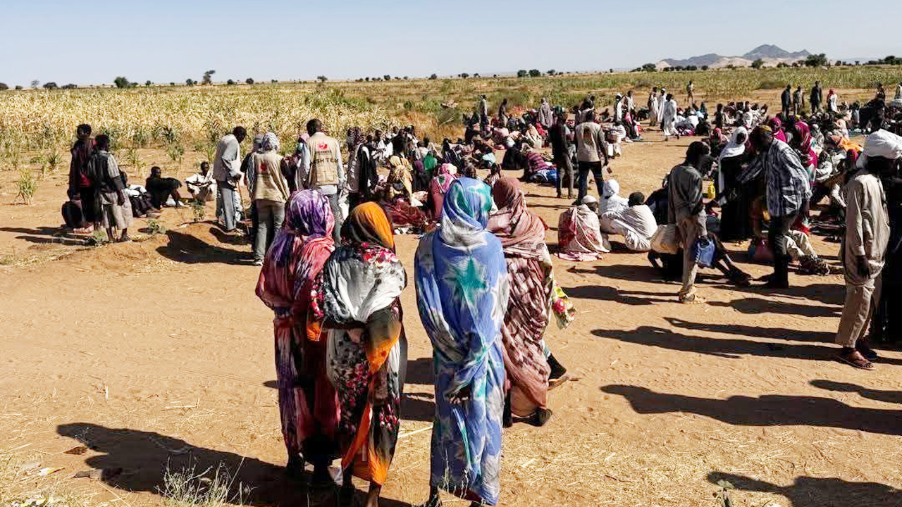 দারফুরের আল-ফাশারে আরএসএফের দখলে নৃশংসতার অভিযোগ