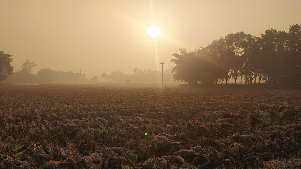 শীতের তীব্রতা বাড়ছে পঞ্চগড়ে