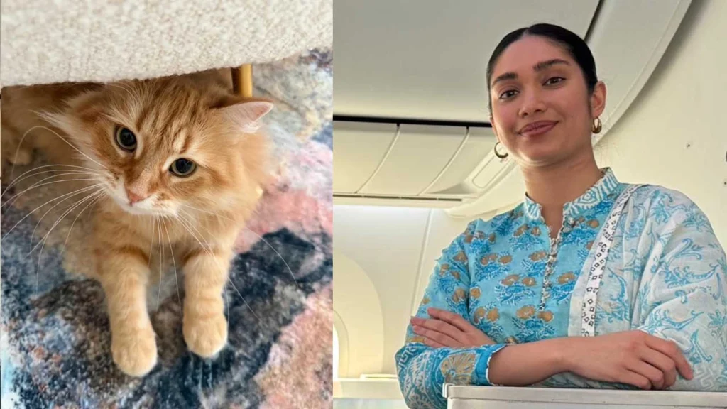 তারেক রহমান-কন্যার পোষা বিড়াল জেবুকে ঘিরে সামাজিক মাধ্যমে তুমুল আলোচনা