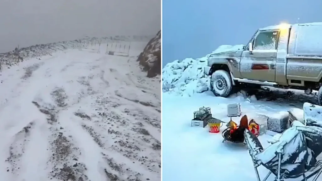 সৌদি আরবের তাবুক ও হাইল অঞ্চলে বিরল তুষারপাত, শীতকালীন আবহাওয়ায় ব্যতিক্রমী দৃশ্য