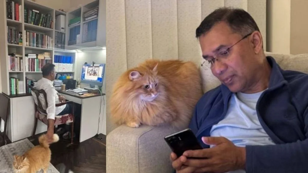 পোষ্য বিড়াল ‘জেবু’-কেও সাথে নিয়ে আসছেন তারেক রহমান