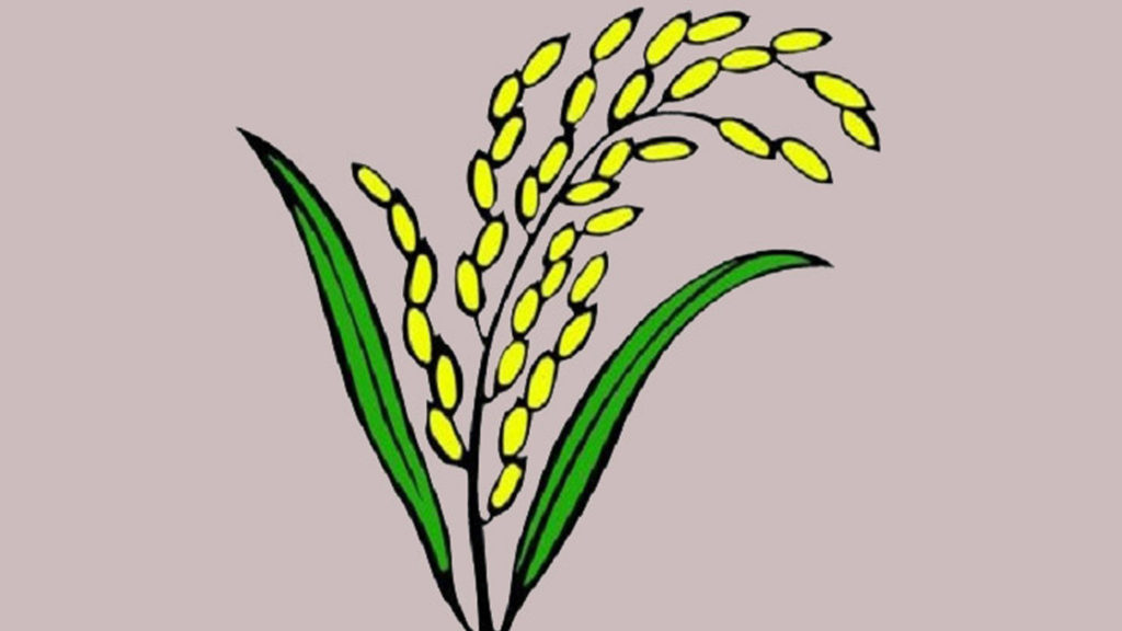 নেত্রকোনা-২ আসনে বি এন পির ডাক্তার আনোয়ারুল হক এগিয়ে