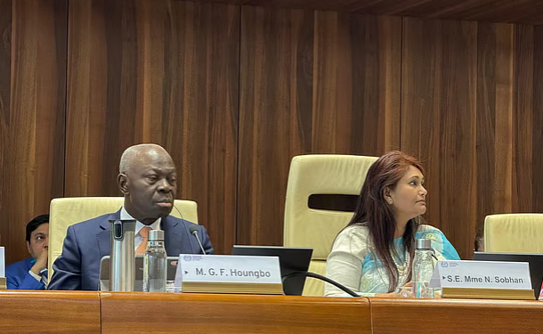 বাংলাদেশ রাষ্ট্রদূত আইএলওর দুই গুরুত্বপূর্ণ নীতিগত সভায় সভাপতিত্ব করেন