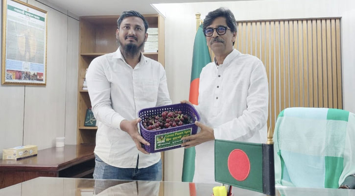 চুয়াডাঙ্গার জীবননগরে সীডলেস আঙ্গুর চাষে উদ্ভাবনী উদ্যোগ