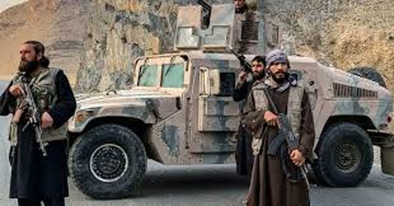 পাকিস্তান-আফগান সীমান্তে সংঘর্ষ তীব্র, নিহত ৩৩১ তালেবান সদস্য