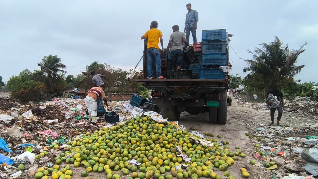 রাসায়নিক দিয়ে পাকানো ৯ হাজার কেজি আম জব্দ ও ধ্বংস