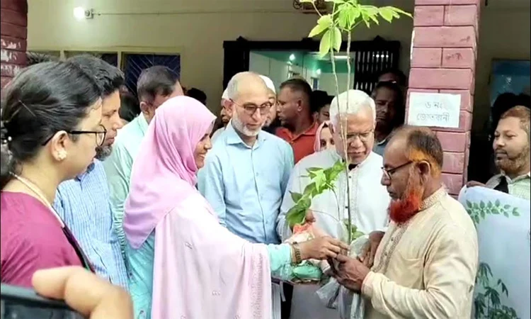 তুলা চাষে কৃষকদের আগ্রহ বাড়াতে সরকারি প্রণোদনা ও গবেষণার ওপর গুরুত্বারোপ