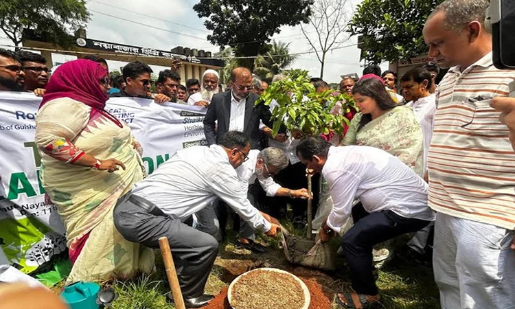 আগামী পাঁচ বছরে সারাদেশে ২৫ কোটি বৃক্ষ বাঁচিয়ে রাখার লক্ষ্যমাত্রা পরিবেশ ও বন মন্ত্রণালয়ের