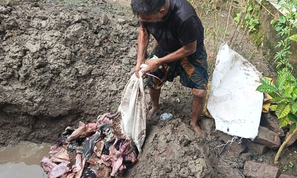 সুন্দরবনে হরিণ শিকার ও পাচার রোধে বন বিভাগের নিয়মিত অভিযান, ১৪৫ কেজি মাংস মাটিতে পুঁতে বিনষ্ট