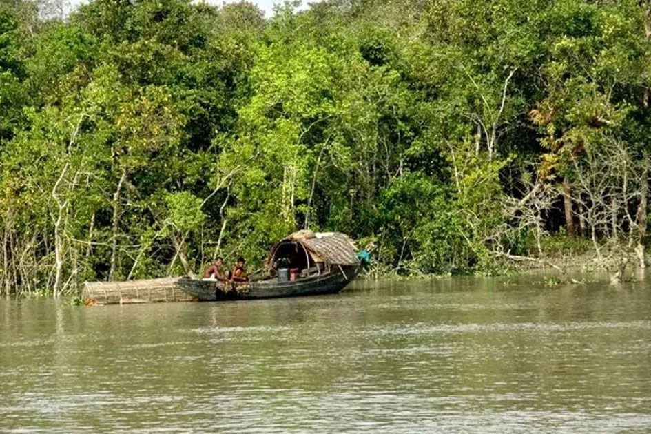 তিন মাস পর সুন্দরবন উন্মুক্ত: আজ থেকে শুরু হলো জেলে ও পর্যটকদের প্রবেশ